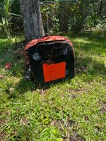 65B85041-F880-40FB-88B4-319CA043AB8B.jpeg