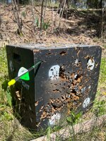 IMG_4153.jpeg