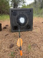 IMG_0110.jpeg