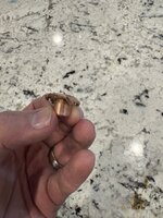 IMG_8058.jpeg