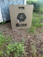 IMG_4382.jpeg