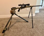IMG_9797.jpeg