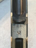 IMG_2378.jpeg