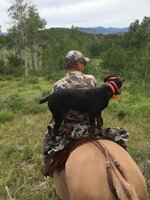 IMG_1602.jpeg