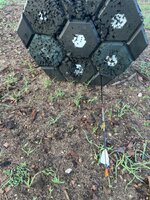 IMG_0414.jpeg