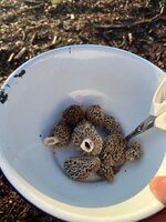 IMG_0420.jpeg