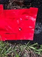 E7830336-76AE-4E07-90E7-BD4E15A085EA.jpeg