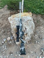 IMG_2975.jpeg