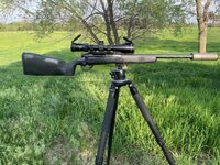IMG_8068.jpeg