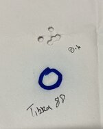 IMG_4536.jpeg