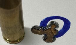IMG_4534.jpeg
