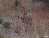19-_H0A0403X-Motion.JPG
