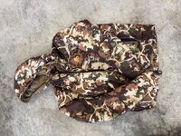 IMG_2577.jpeg
