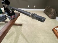 IMG_2811.jpeg