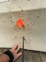 IMG_2991.jpeg