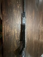IMG_0989.jpeg