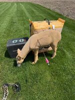 IMG_1115.jpeg