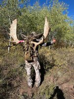 Moose pack.jpg