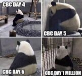 CBC_Sad_Panda.jpg