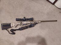 Ruger 308.jpg Ruger 308.jpg