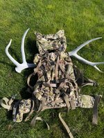 IMG_5367.jpeg