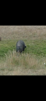 IMG_0823.png