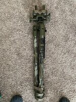 IMG_2981.jpeg