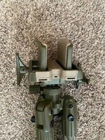 IMG_2984.jpeg