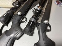 IMG_1207.jpeg