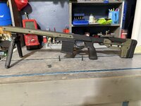 IMG_4241.jpeg
