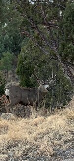 IMG_4980.jpg
