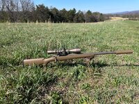 IMG_3603.jpeg