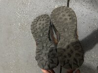 IMG_0786.jpeg