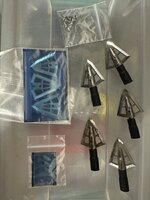 IMG_0787.jpeg