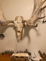 IMG_6661.jpeg