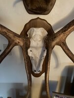 IMG_6663.jpeg