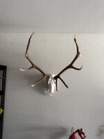 IMG_6074.jpeg
