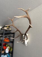 IMG_6075.jpeg