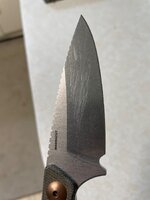 IMG_3941.jpeg