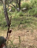 IMG_3871.jpeg