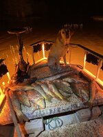 IMG_4040.jpeg