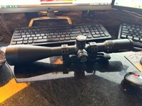 IMG_0384.jpeg