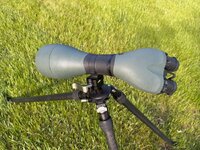 IMG_5117.jpeg