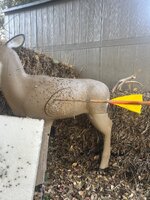 IMG_8763.jpeg