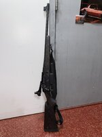 IMG_5306.jpeg