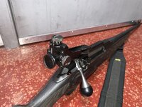 IMG_5307.jpeg