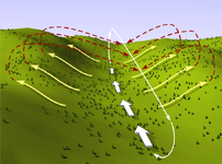 IMG_0615.png