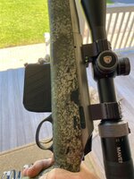 IMG_2200.jpeg