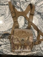 Harness 1.jpg