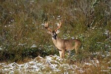 44-IMG_44451X-Motion.JPG